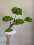 Drzewko bonsai z mchem chrobotkiem. Prezent. Dekoracje wnętrz.  Mech.