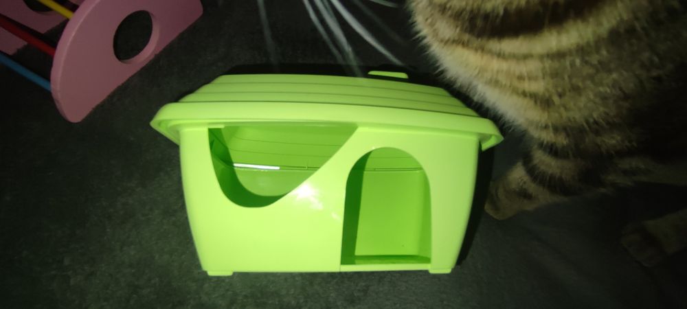 Utensílios hamster