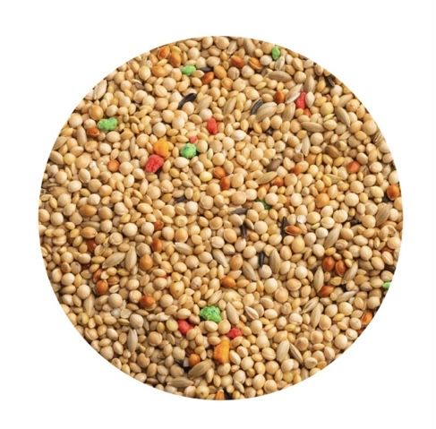 Mistura de sementes para aves