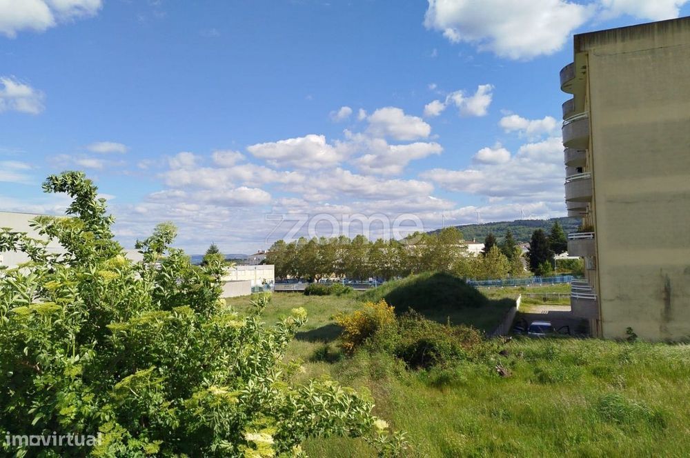 Terreno, Moimenta da Beira