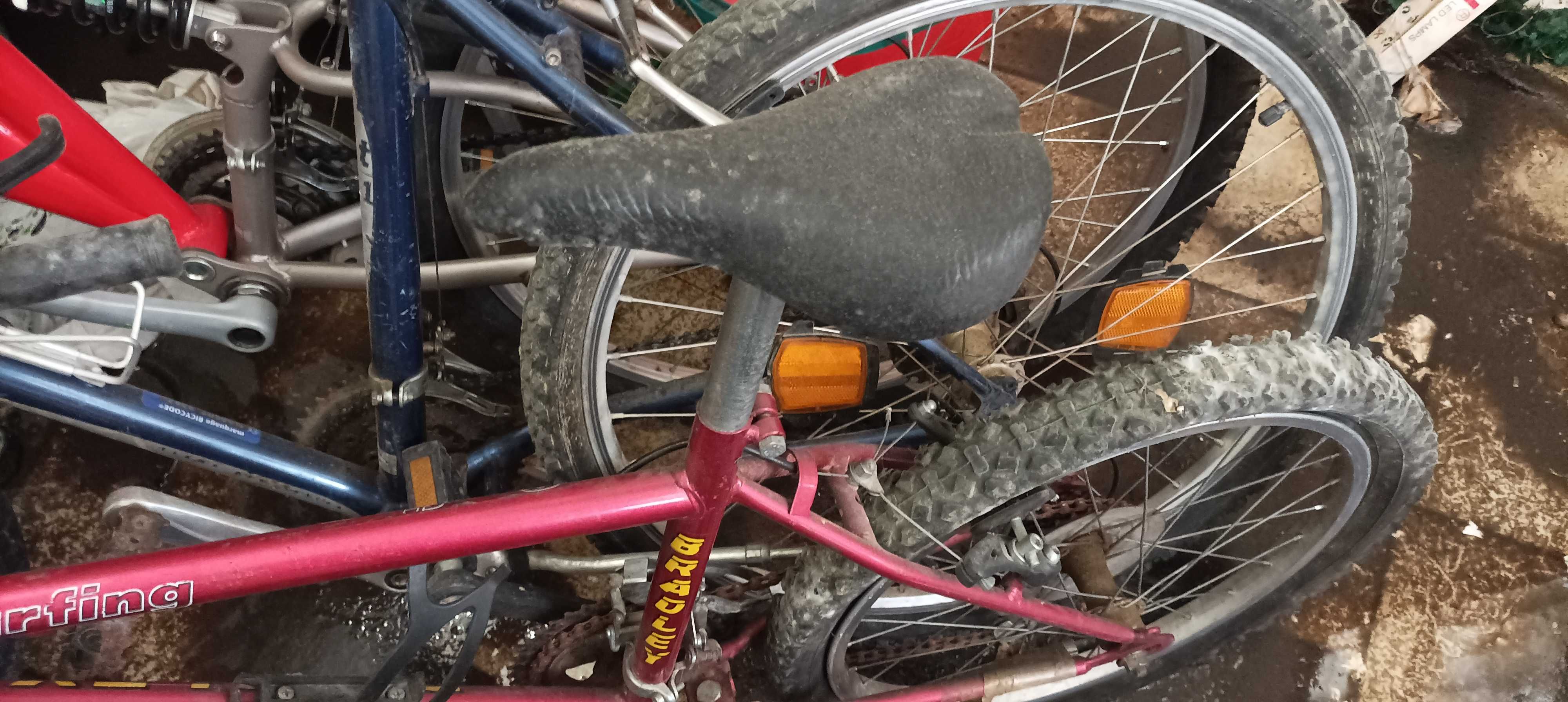 Bicicletas para uma familia