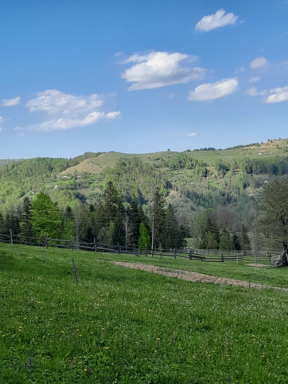 Продається будинок із земельною ділянкою.