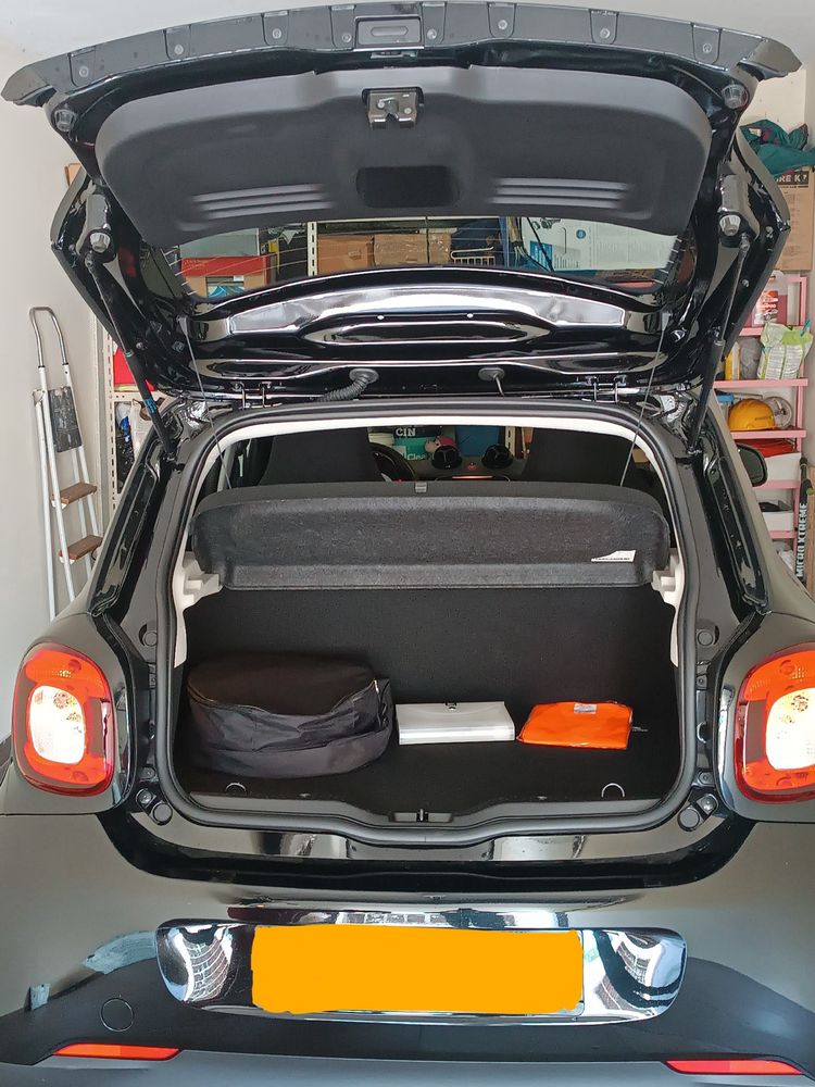 carro Smart forfour 2022