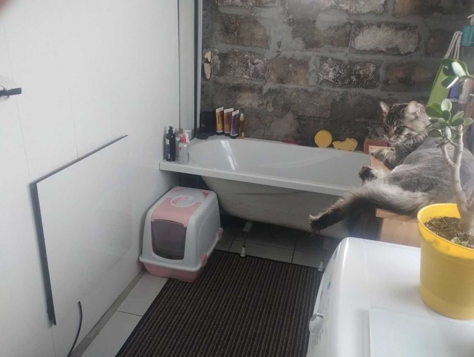 Продам дом под реконструкцию в Диевке