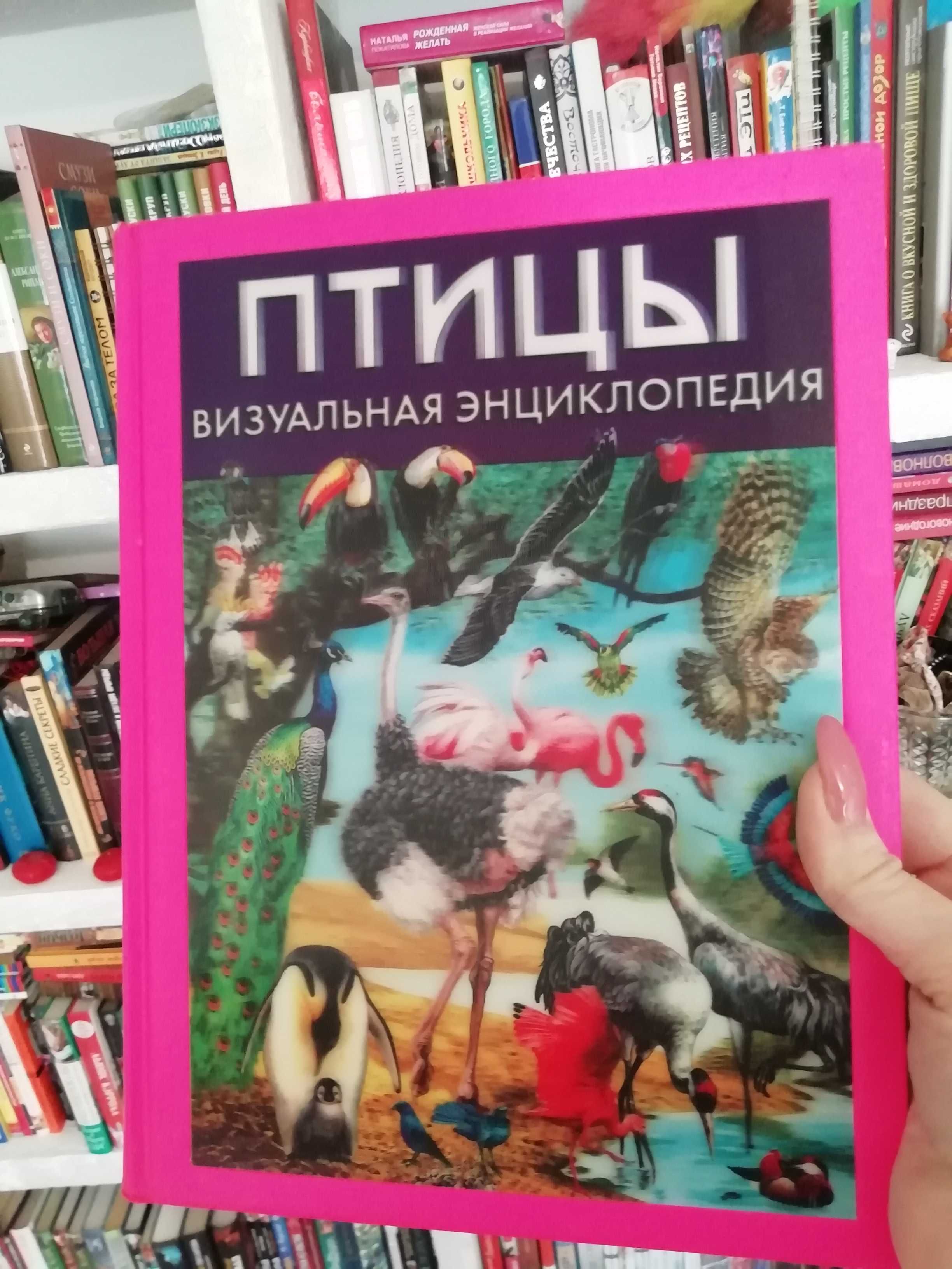 Детские красивые книги