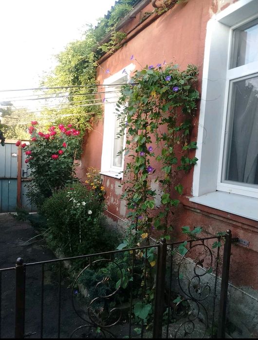 Сдам комнату  в доме, м. Киевская 10 мин. пешком