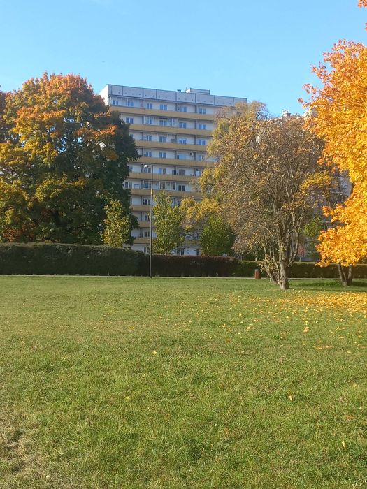 Sprzedam BEZPOŚREDNIO mieszkanie przy ul. Deotymy 38,4 m2