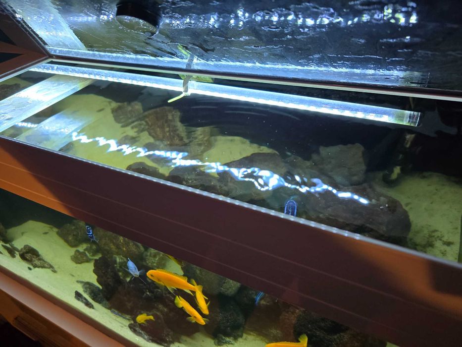 Zestaw akwarium 375 litów, szafka, 2x filtr kubelkowy, Pyszczaki