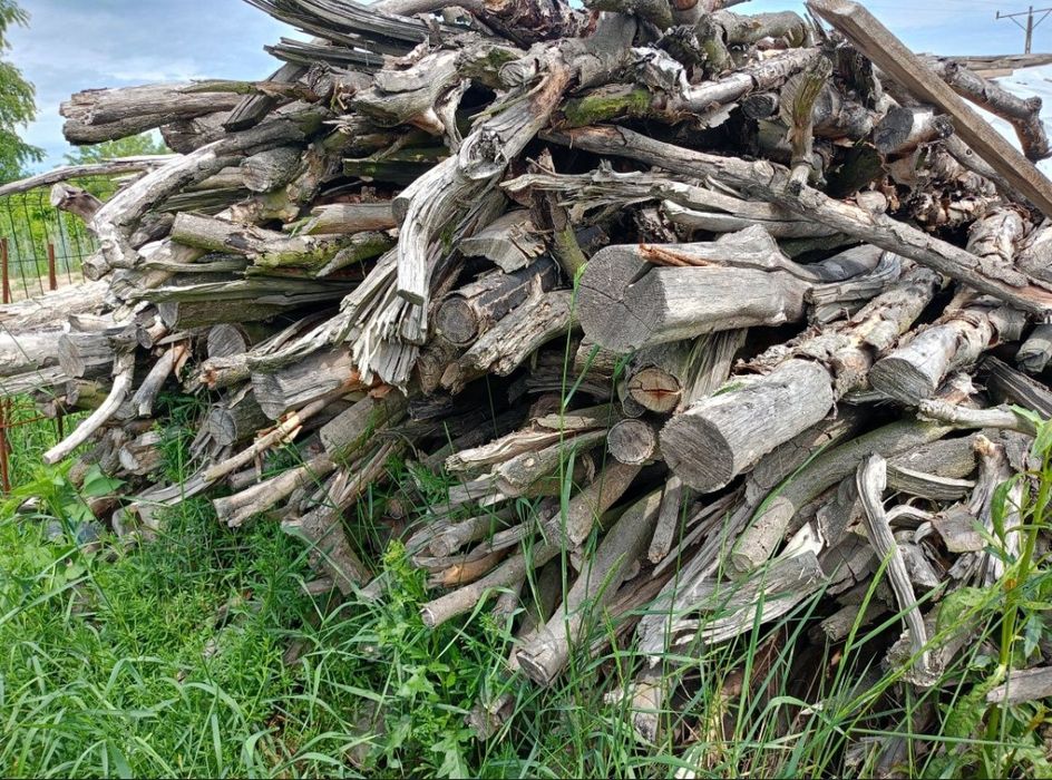 Drewno opałowe, kominkowe