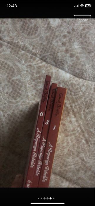 Livros da rapariga rebelde