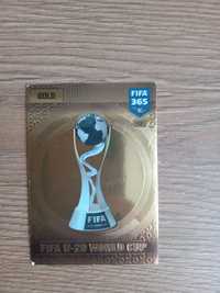 Karta piłkarska FIFA u-20 World Cup