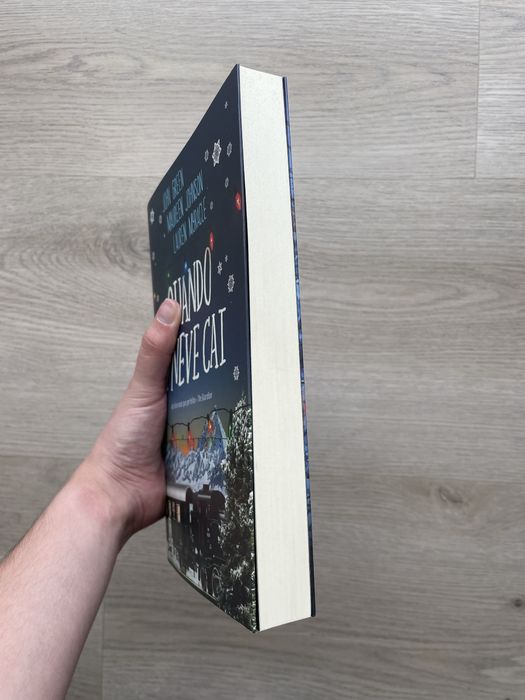 Quando a neve cai - John Green, Maureen Johnson e Lauren Myracle