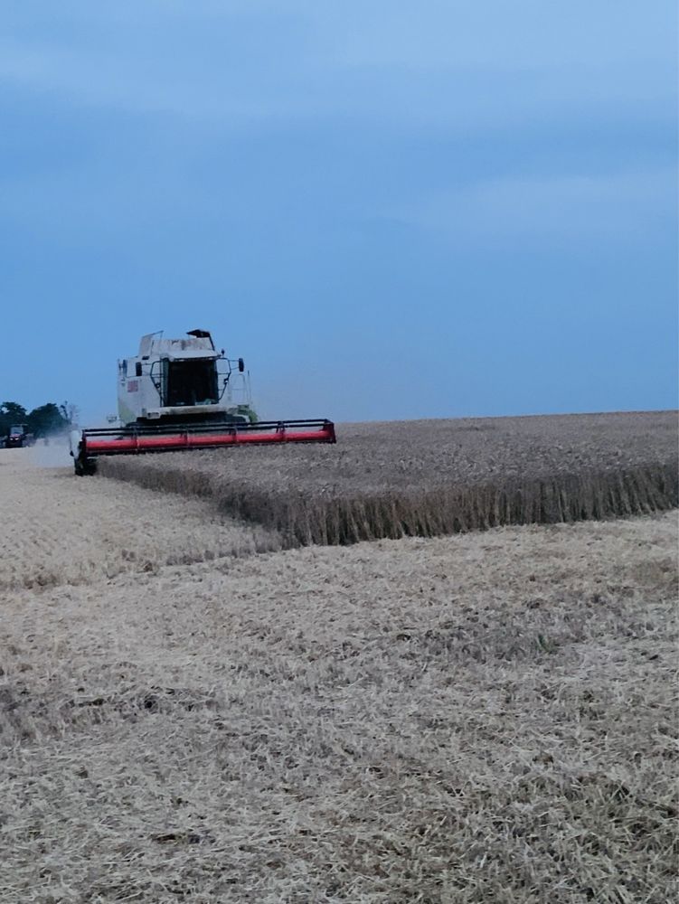 Продам комбайн CLAAS LEXION 460