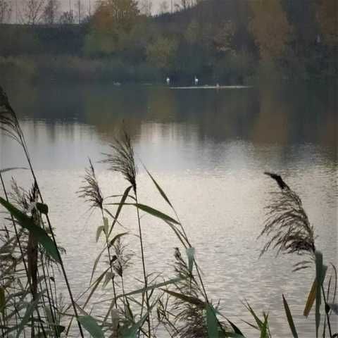 BEZPOŚREDNIO. Działka 7300m2, mazowieckie, 6 min od E77.