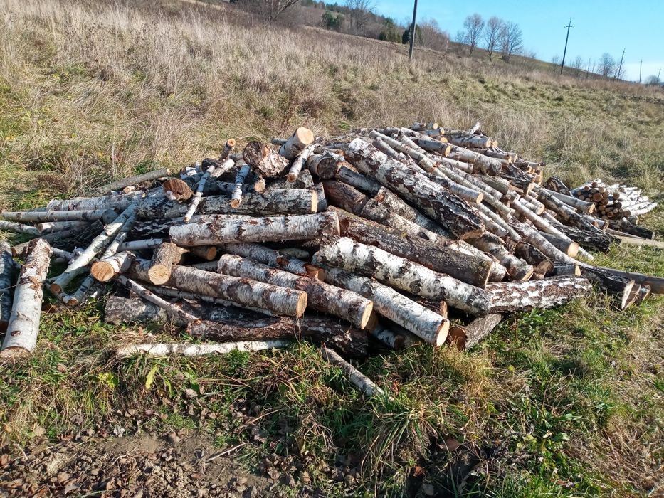 Продам дрова сухі.