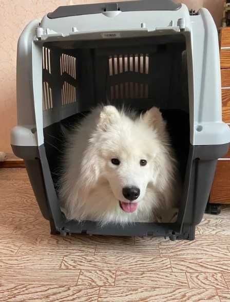 Переноска клетка SKUDO бокс авиа для собак размеры от №1,2,3,4,5,6,7