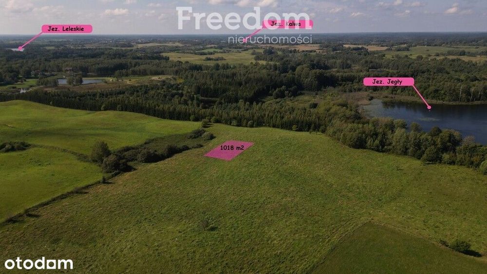 Działki na Mazurach – Elganowo, gm. Pasym, 10 ar