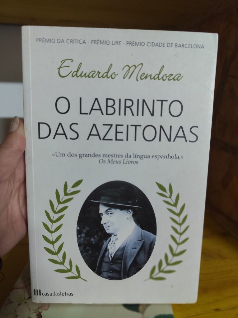 Livros: romance, técnico