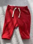 Spodenki Baby Gap miś