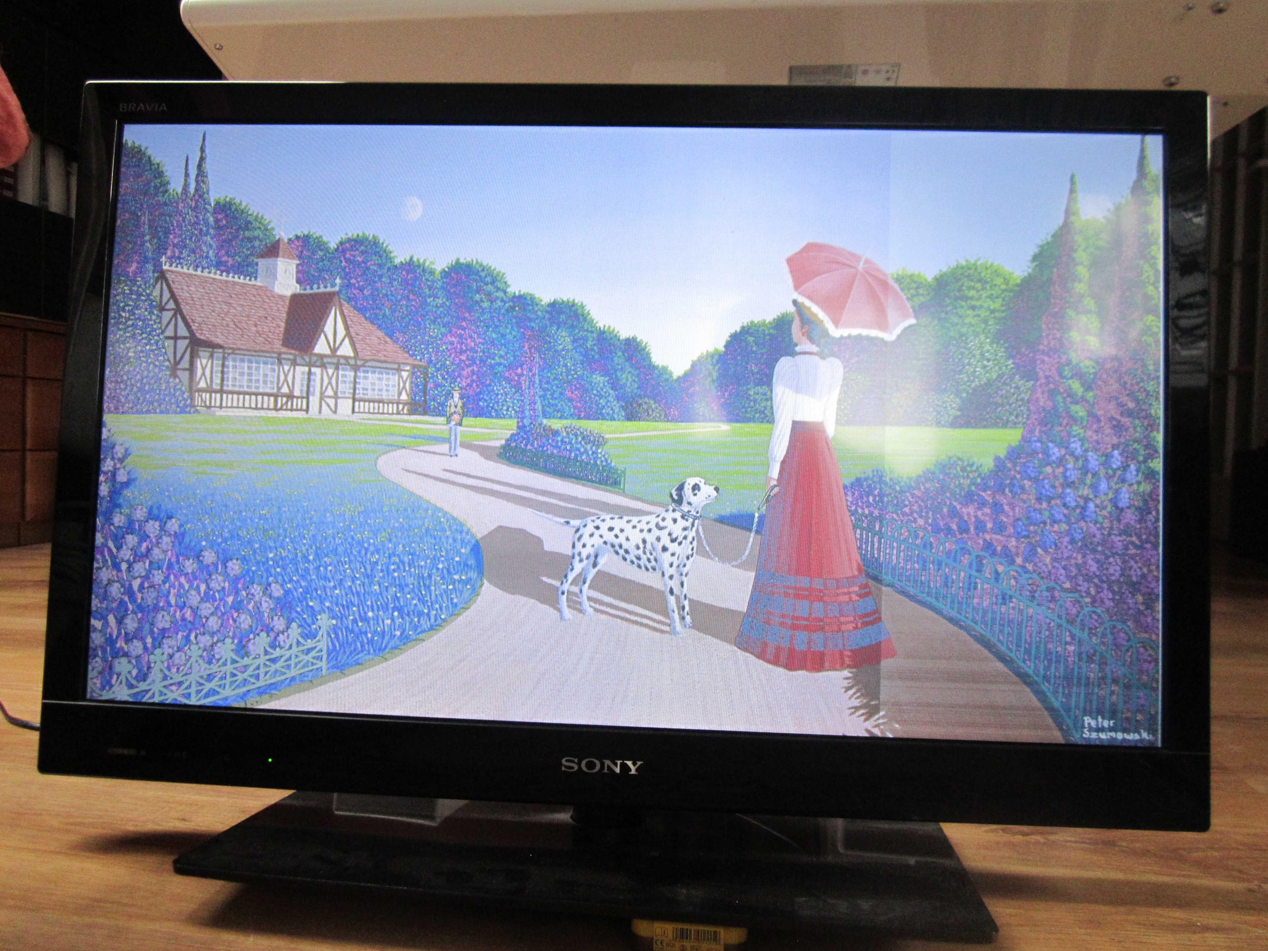 telewizor SonyKDL-32EX310 uszkodzony
