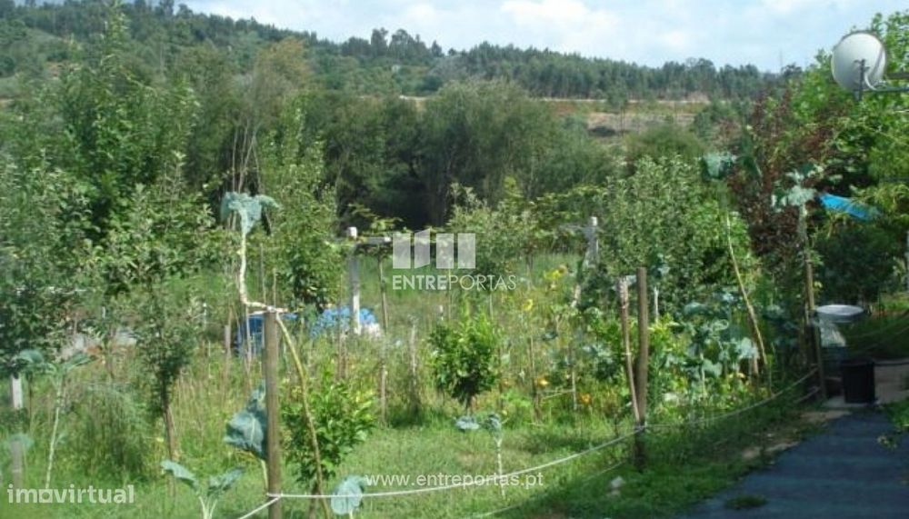 Venda Terreno, piscina, Freixo, Marco de Canaveses