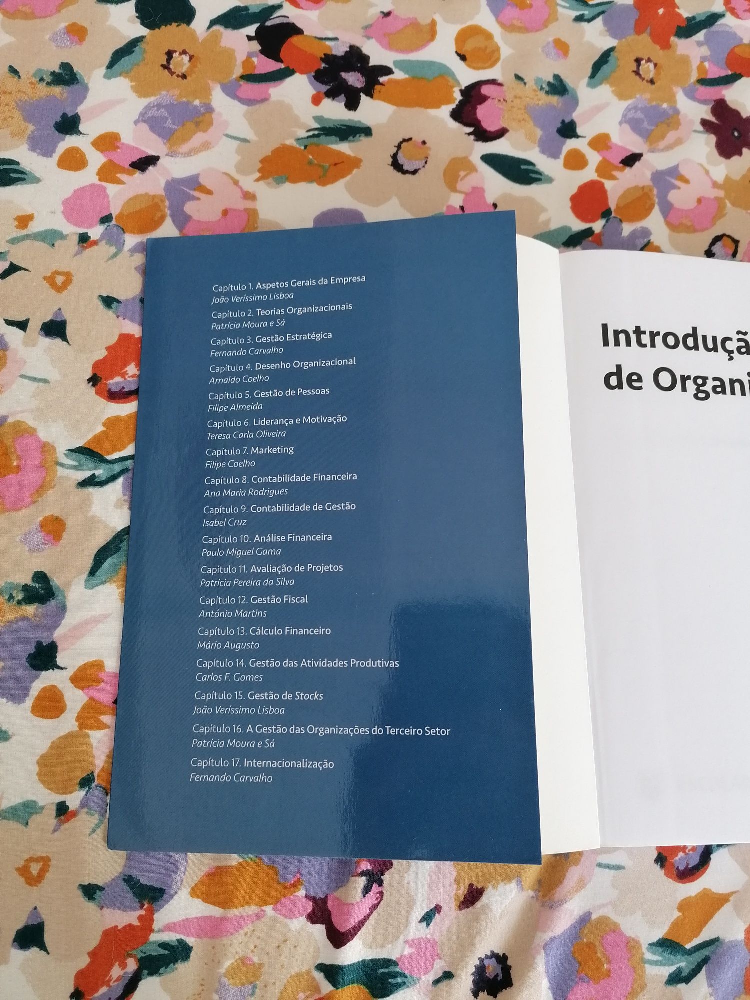 Introdução à gestão de organizações coordenação Filipe Almeida