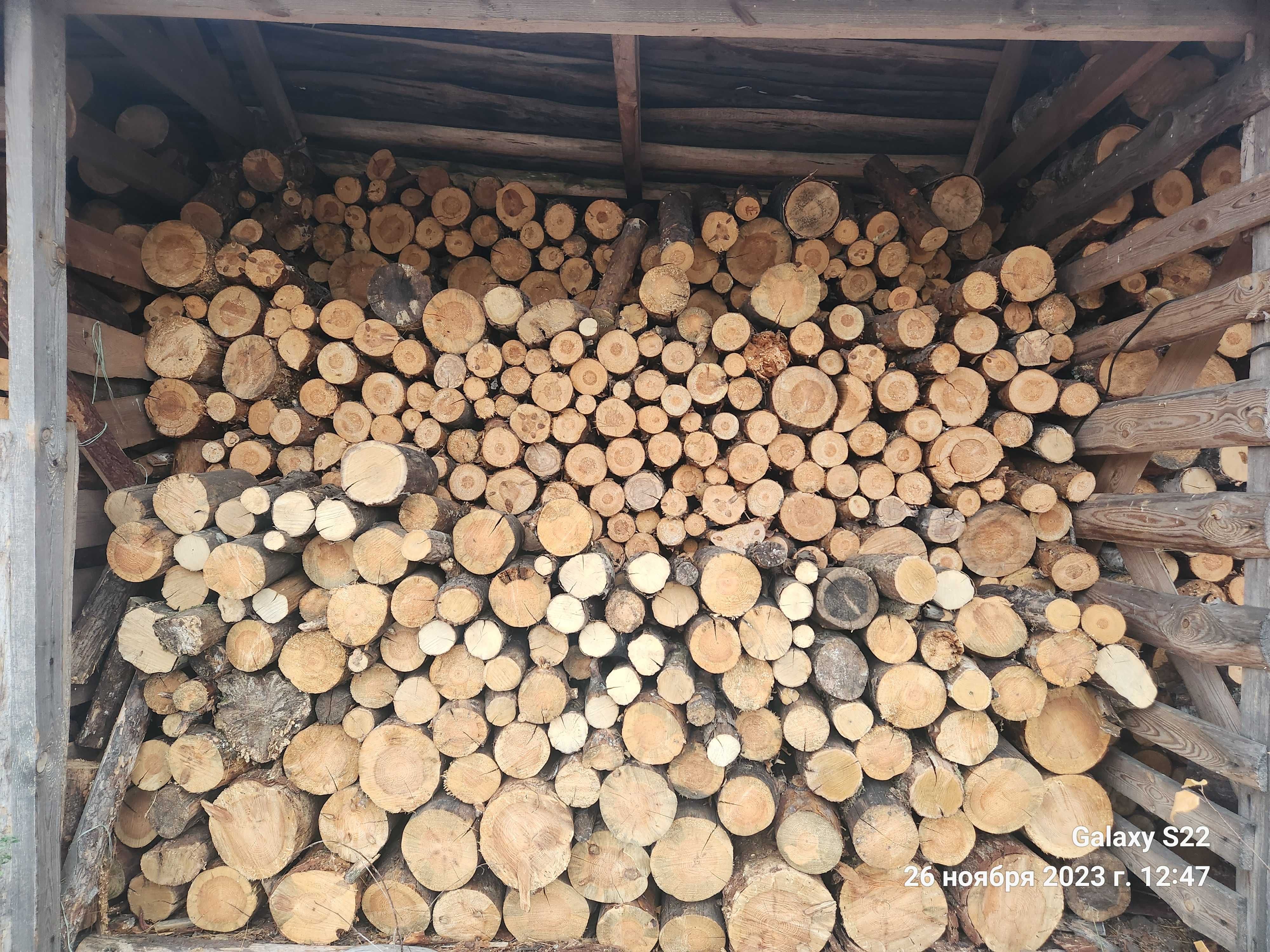 Продам дрова різного виду