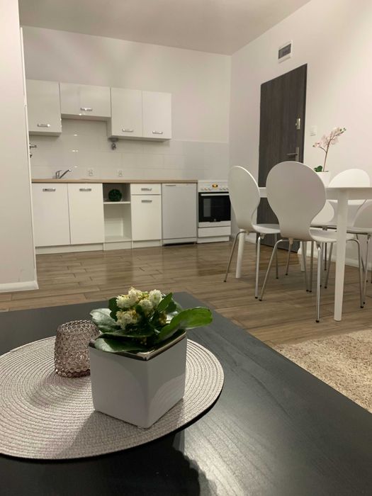 Mieszkanie w Białych Błotach wynajmę