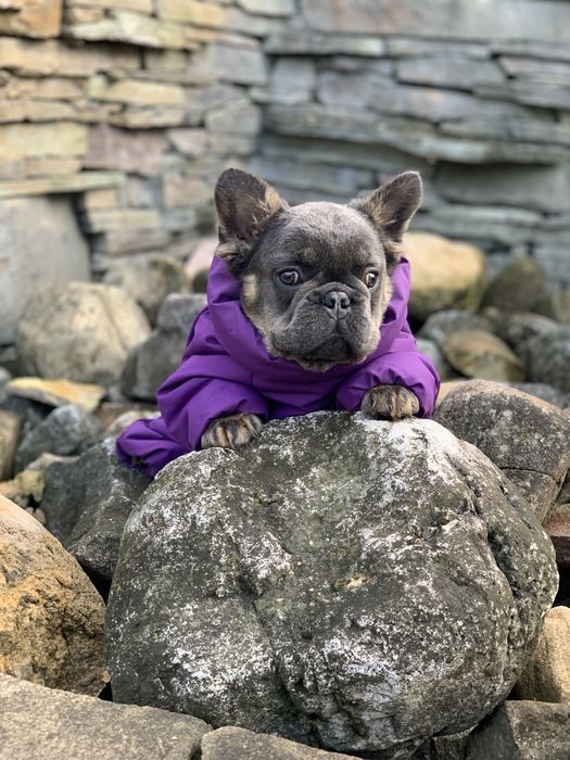 Масик голубой мини Пику