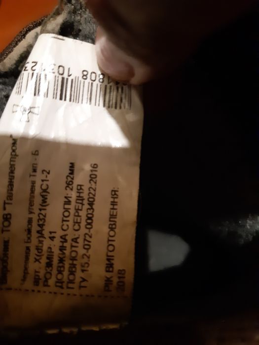 Армійські чоботи