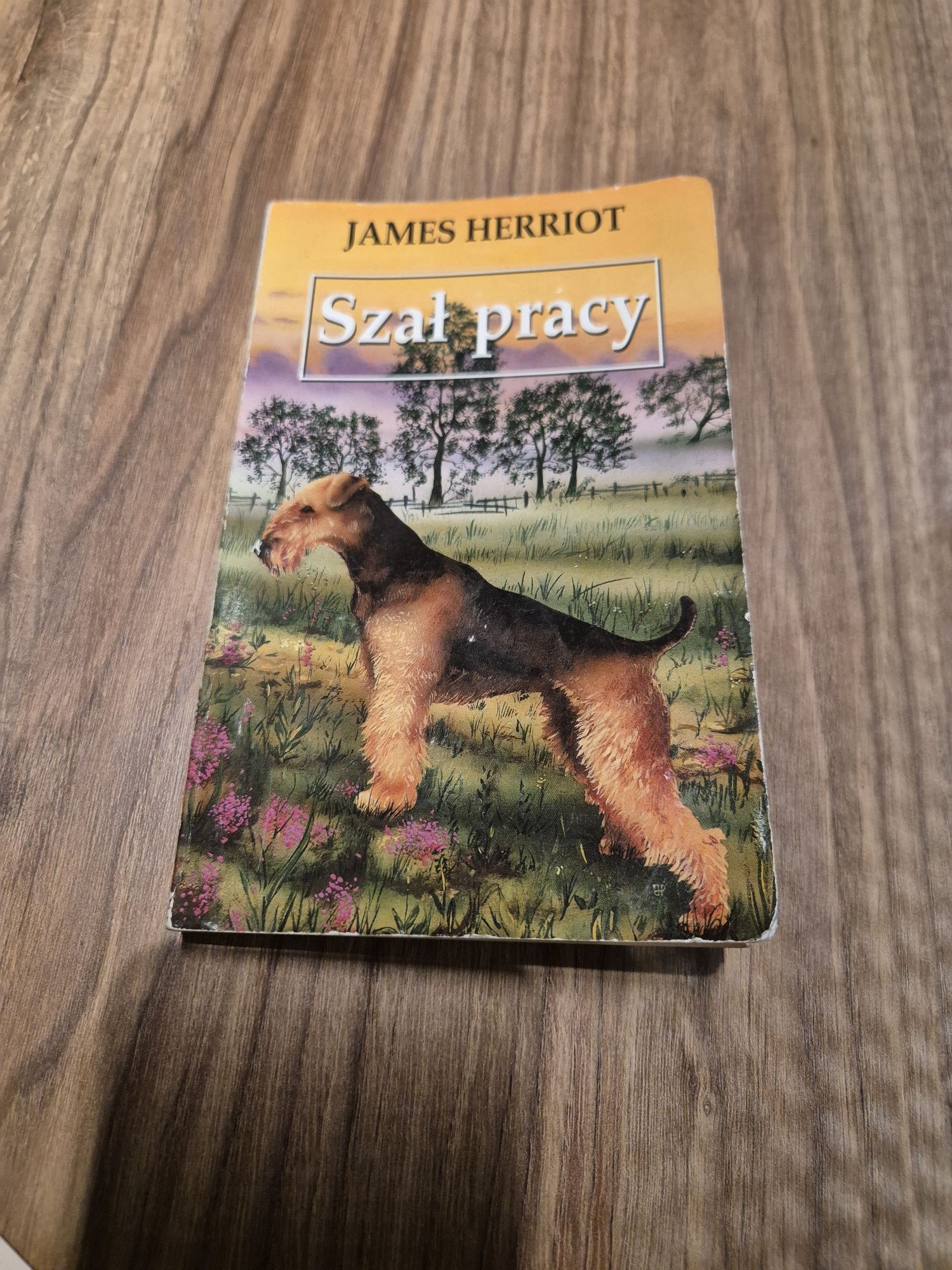szał pracy james herriot