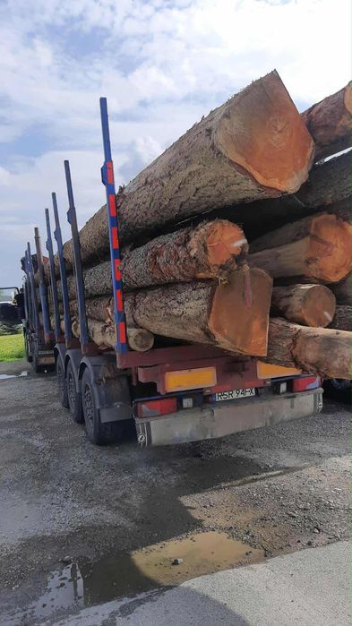 MODRZEW , dłużyca tartaczna , kloce