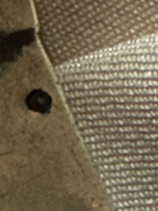 Stara bogata bransoleta z naturalnymi koralami