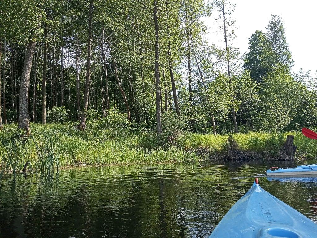 NOWE SIEDLISKO IDZBARK -Ostróda-Wypożyczalnia kajaków, spływy kajakowe