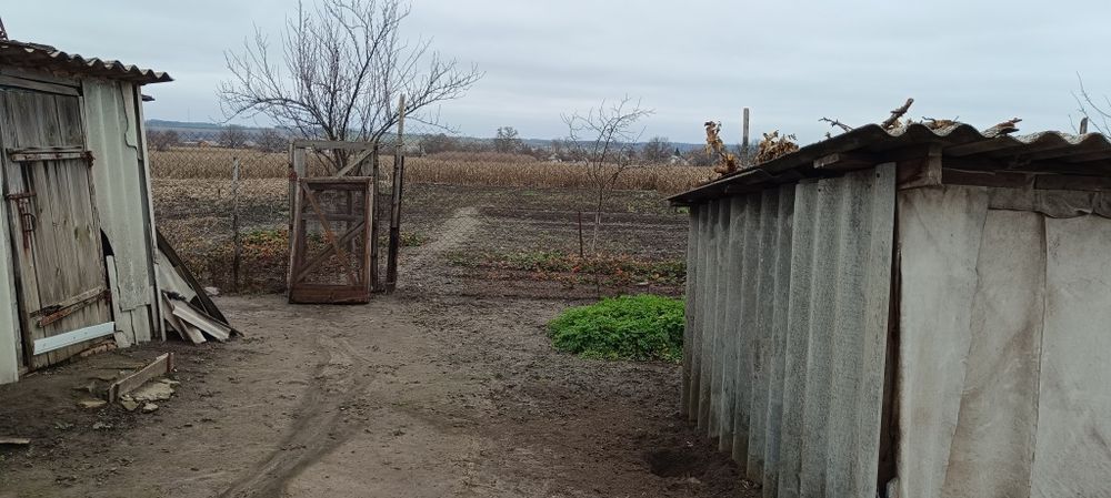 Продам будинок Павлиш