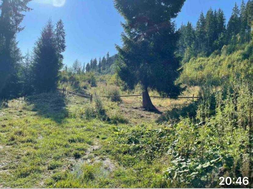 Продаж земельної ділянки 1 Га с.Поляниця Буковель