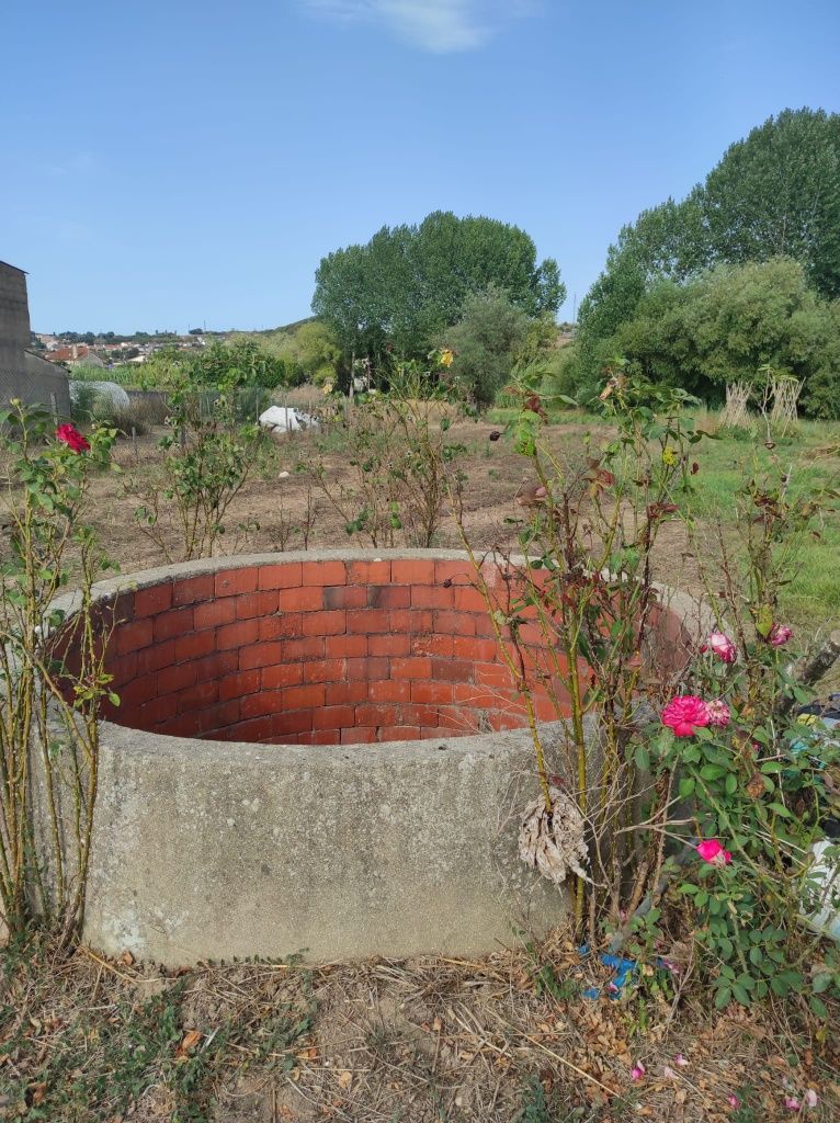 Terreno Agrícola