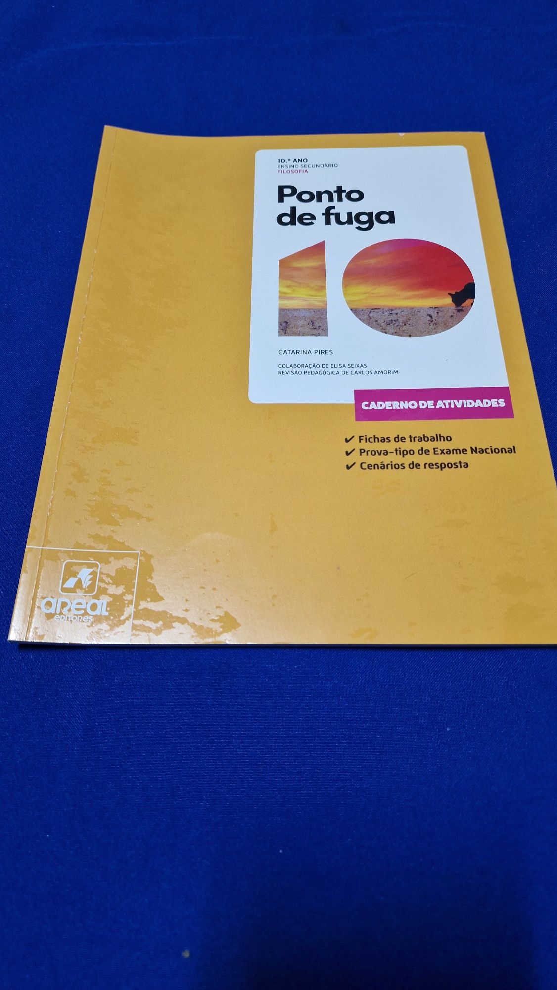 Cadernos atividades 10 ano