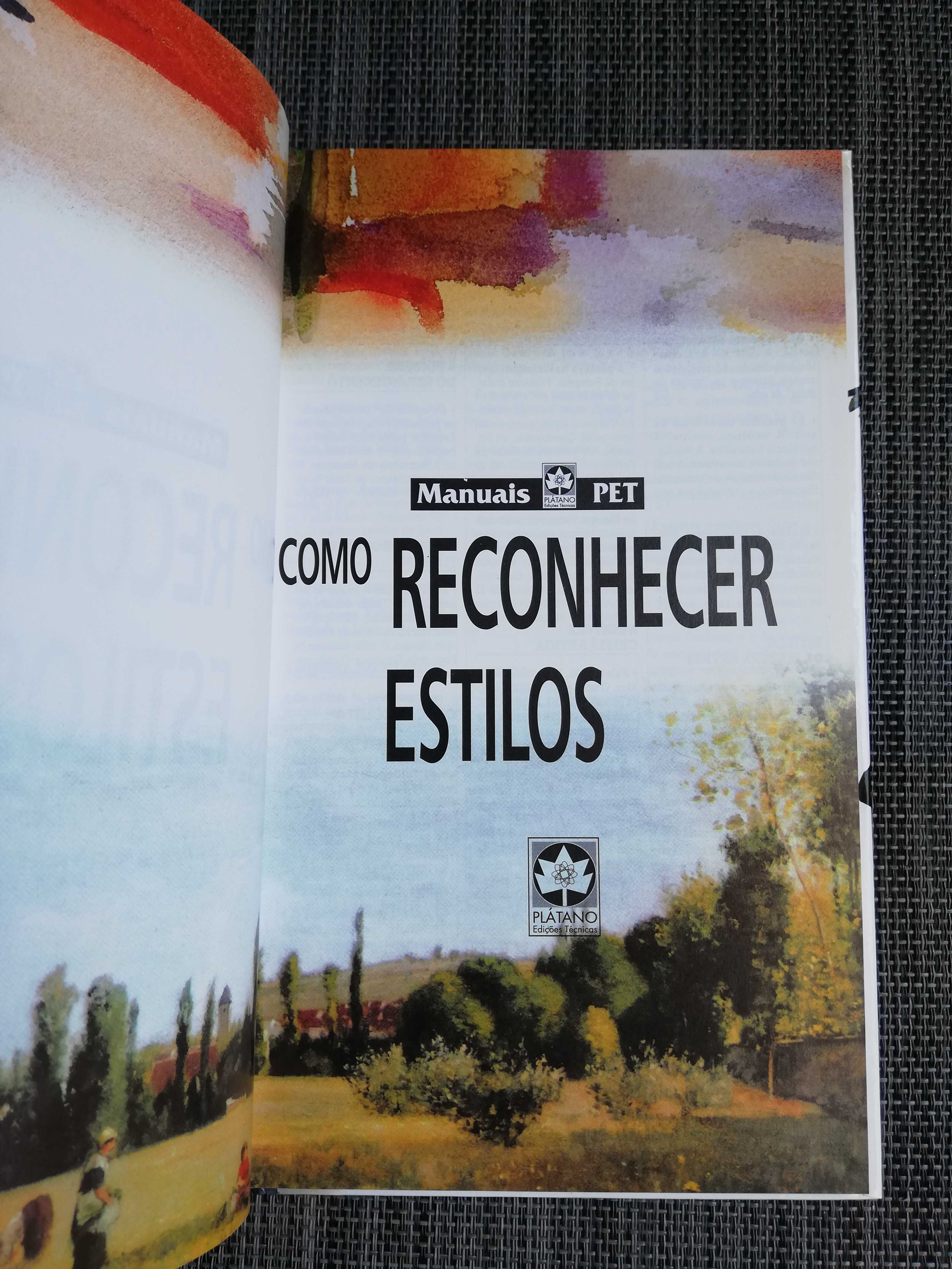 Como Reconhecer Estilos (portes incluídos)