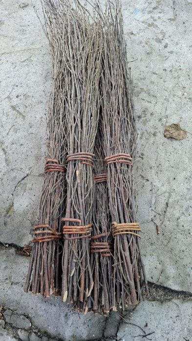 Продам метлу берёзовую