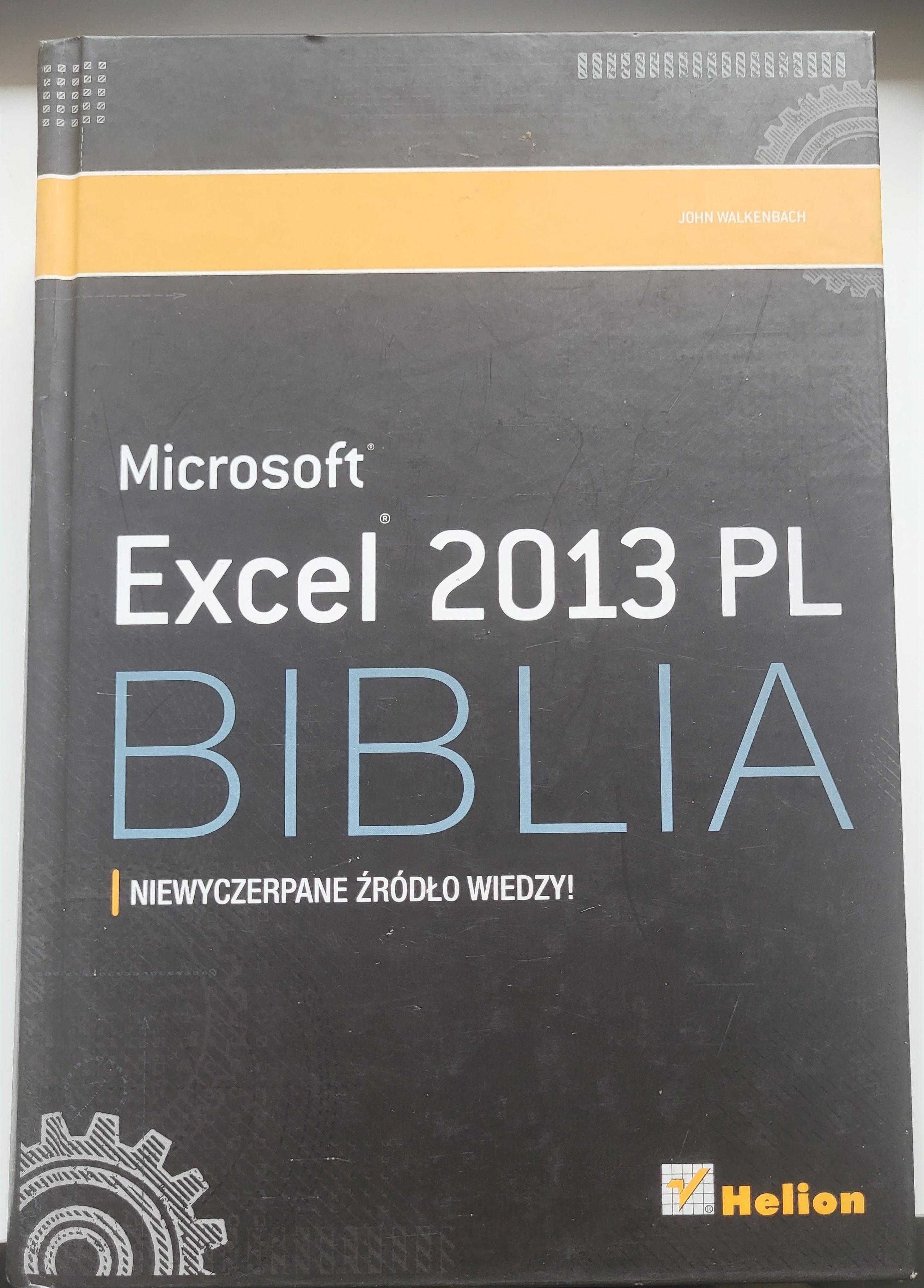Excel 2013 PL Biblia