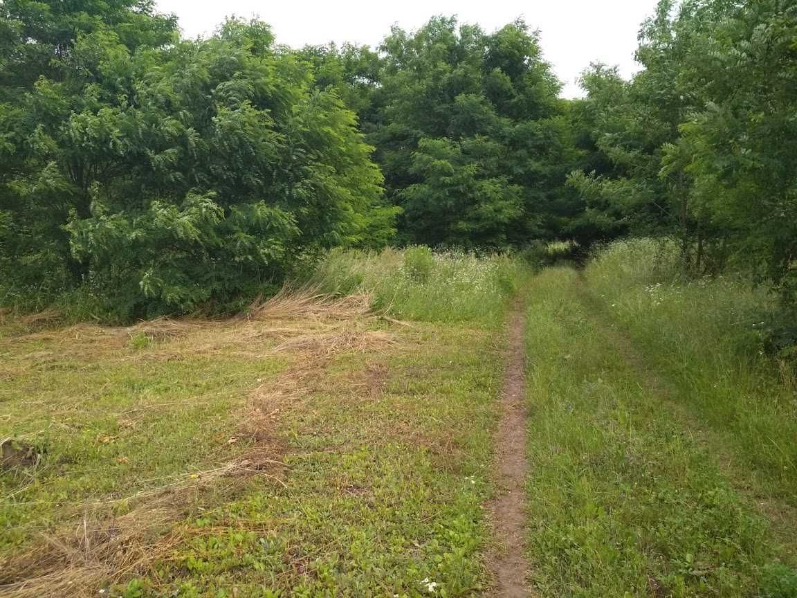Продаж ділянки 10 с під житлову забудову / встановлення наземної СЕС.