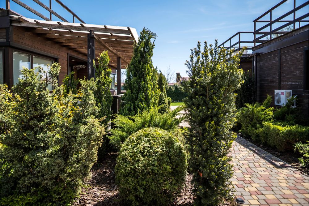 Здаються номера, подобово в готелі Green Hotel, Чорноморськ