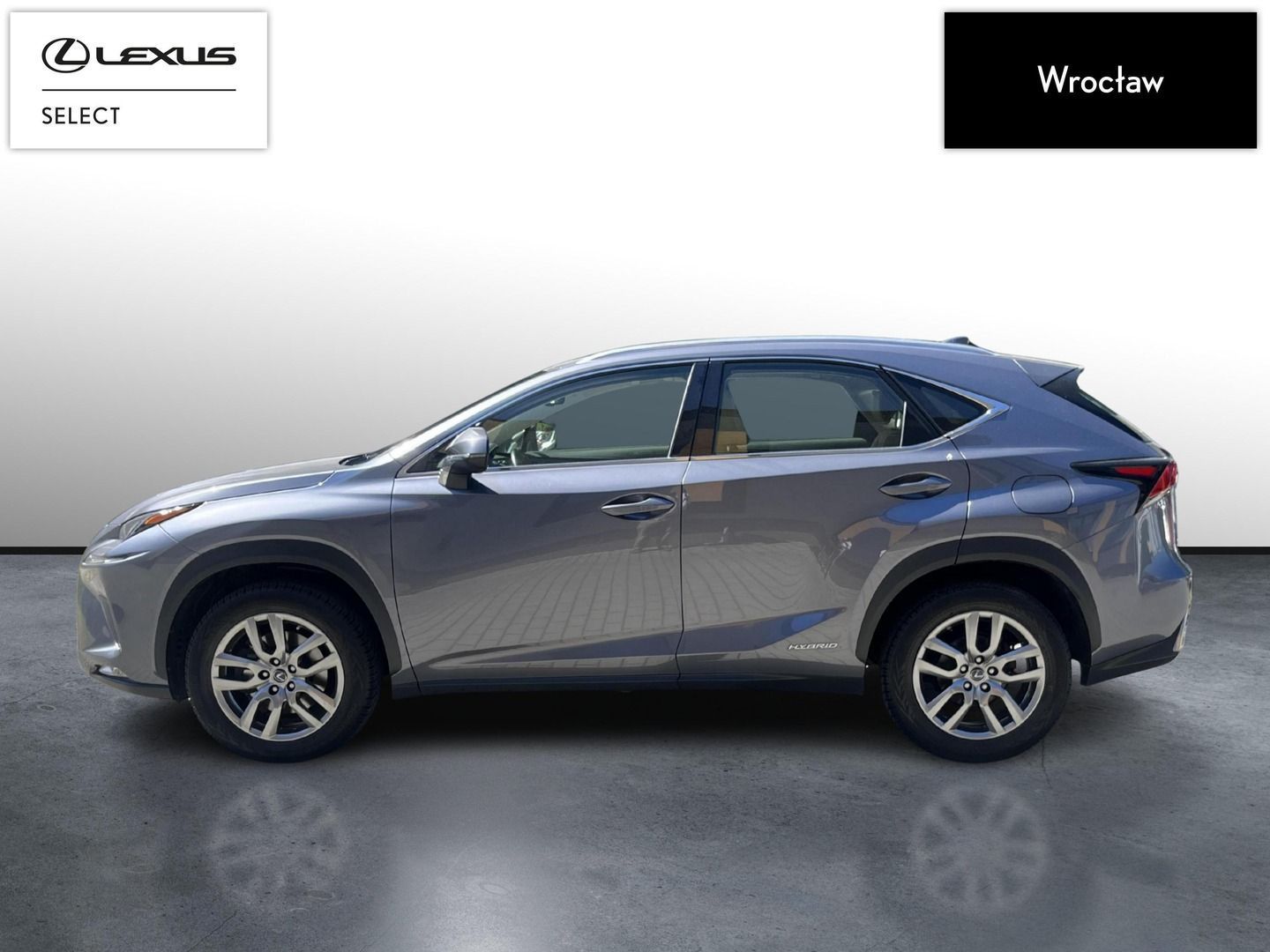 Lexus NX 300h Business Edition | 1wł. | Serwis ASO | FV23%