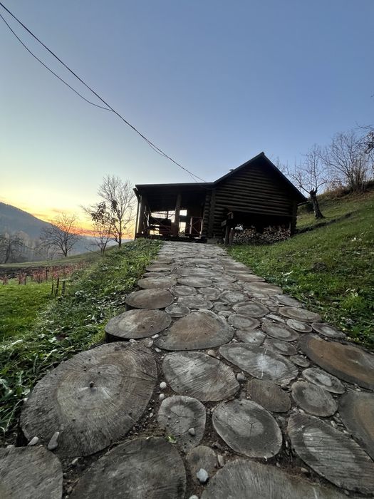 Здається будинок для відпочинку в лісі з сауною холодним басейномта ча