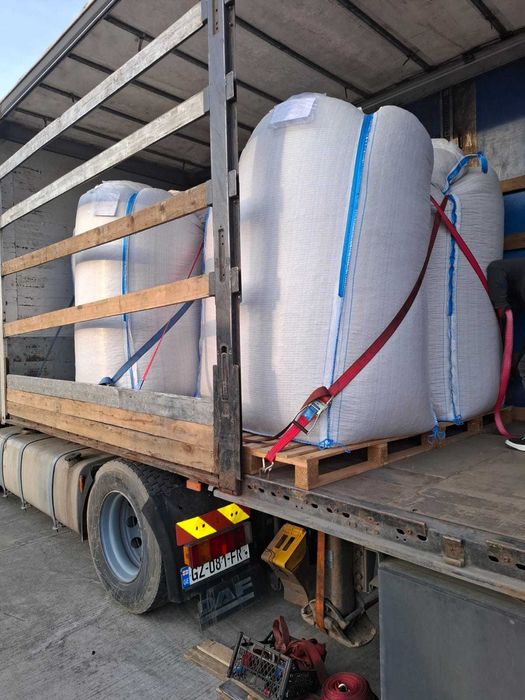Orzechy laskowe premium z Gruzji – zbiór 2024, tylko hurt!