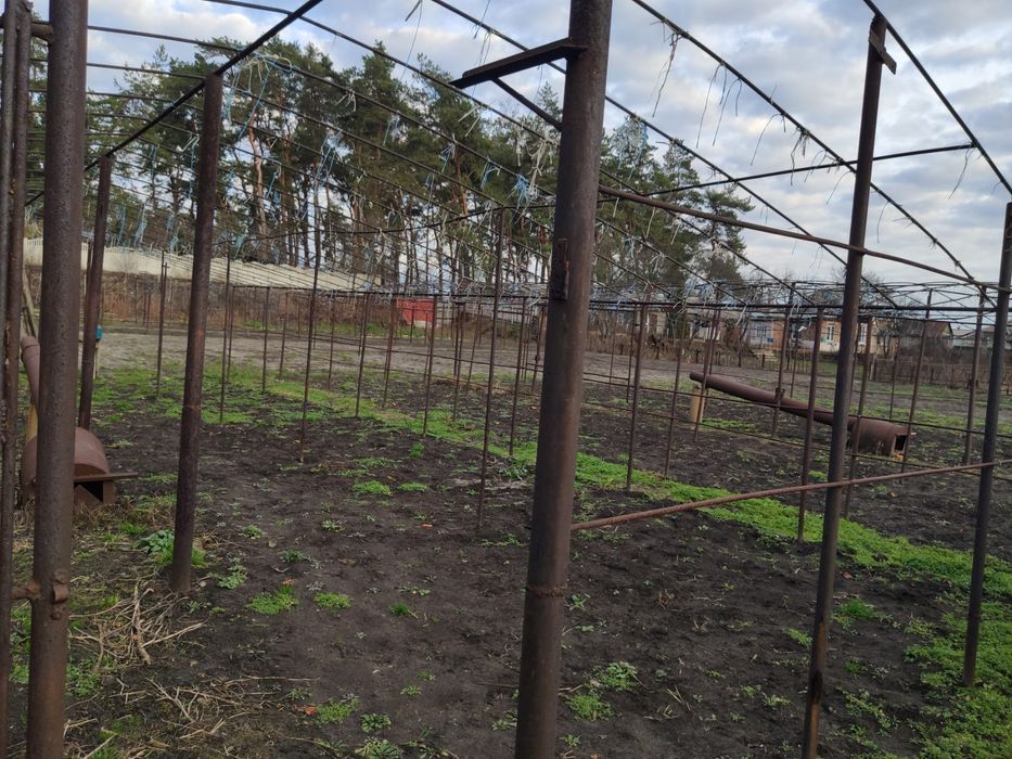 Продам пруты с теплицы