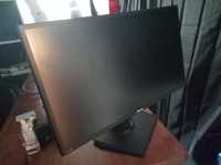 Monitore Asus gaming new