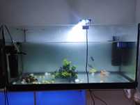 Aquario de 100cm