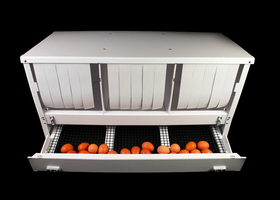 gniazda dla kur, czyste jajka, budka lęgowa